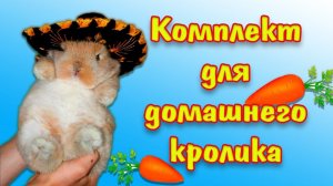 Что нужно кролику купить для содержания