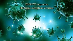 Масло ромашки аптечной (голубой): 3 важнейших свойства