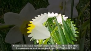Альфред Шнитке  Безумие