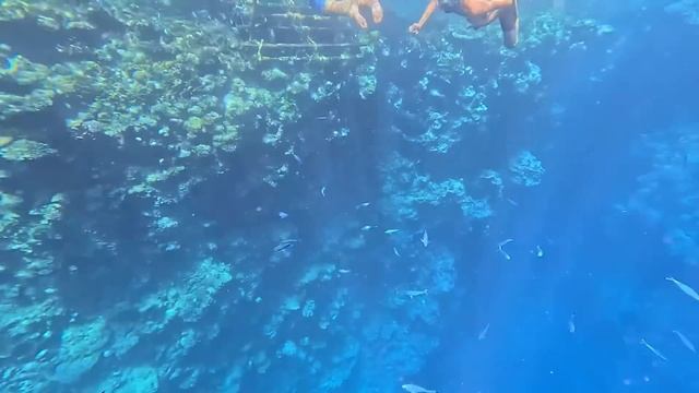 Египет 2023. Как ЗДЕСЬ СЕЙЧАС❗️ШИКАРНЫЙ ПЛЯЖ и РИФ The Grand Hotel Sharm El Sheikh. Шарм эль Шейх
