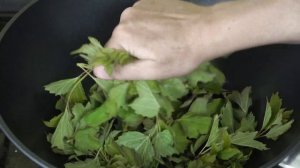 Раскрываем уникальный аромат листьев калины, яблони, терна, вишни, березы, груши.. для чая и купаже