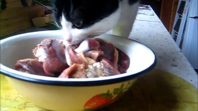 Еда от Файерхунд Май 2021 смотреть онлайн