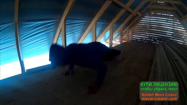 19 видов отжиманий возможно о которых ты не слышал! ЧАСТЬ 1 смотреть онлайн