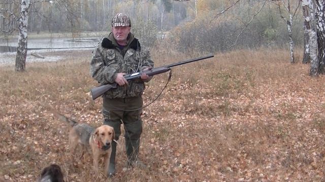 Охота. Заметки охотника #14. За рябчиком по полям. Ружьё Breda Xanthos. Hunting in russia