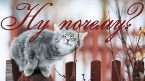 А.Варгин. Ну почему?