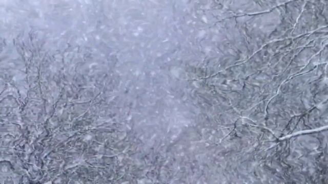 Хорошего зимнего дня⛄