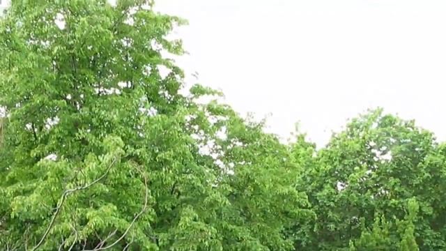 ASMR/АСМР подоконная природа. Болташечка шепотом. смотреть онлайн