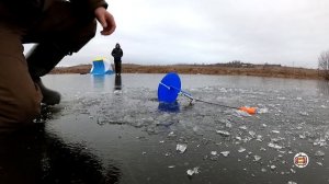 Зимняя рыбалка жерлицами 2019-2020 . Зима рыбалка уже не по первому льду . Рыбалка на старице