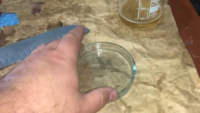 Аква?Пром® : Дегустация Клариевого Сома - Балык хк Житомир смотреть онлайн