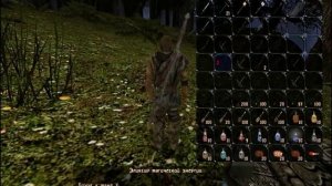 StrongHand mod Gothic 2 (RUS)