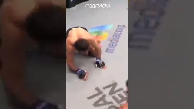 Жёсткий удар в Мма ! #shortsvideo #боевоесамбо #техника #mma #самбо #мма #джиуджитсу #бжж #дзюдо