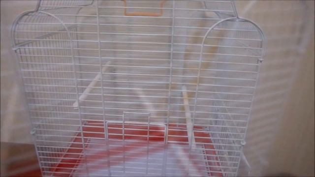 Обзор. Клетка для птиц. 43*30,5*57,5 см. К-А-7000 смотреть онлайн