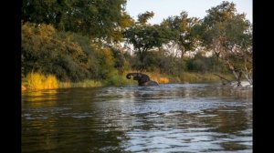 Замбия  История