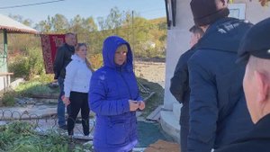 Ремонт домов.