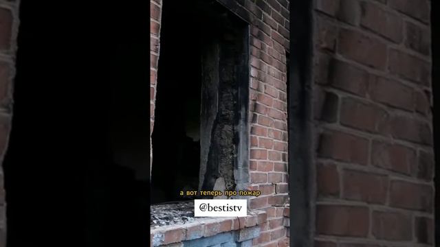Подписывайся✅ самое интересное из TV в твоем телефоне 🍿