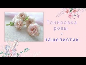 Тонировка парковой розы + чашелистик. Rose tint + sepal.