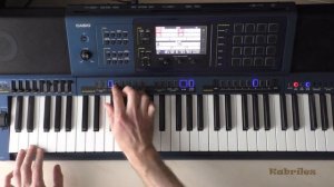 Goran Bregovic & Iggy Pop - In the Death Car 🎶 keyboard cover