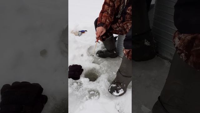 Рыбалка на озере тиберкуле смотреть онлайн