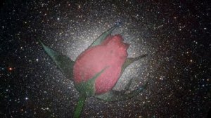 Поздравляем Викторию с днём рождения - Видео Открытка