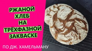 Ржаной ?хлеб на трёхфазной закваске. По рецепту Дж. Хамельмана