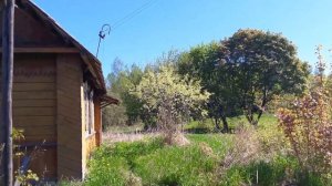 Дом_Дача у озера. Отдых-Охота-Рыбалка-Грибы.