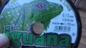леска игуана/iguana-0.12