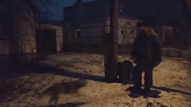 Видео Хаски, дождавшаяся хозяина с СВО