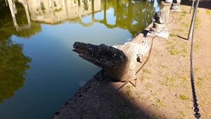 Из Рима в Тиволи на один день. Путешествие во времени. Императорская вилла Адриана
