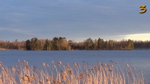 Вдоль тихих берегов Вуоксы / Май 2024г. / Серия 3 / Философская