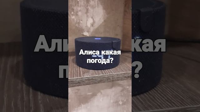 Алиса какая погода в Новом Уренгое