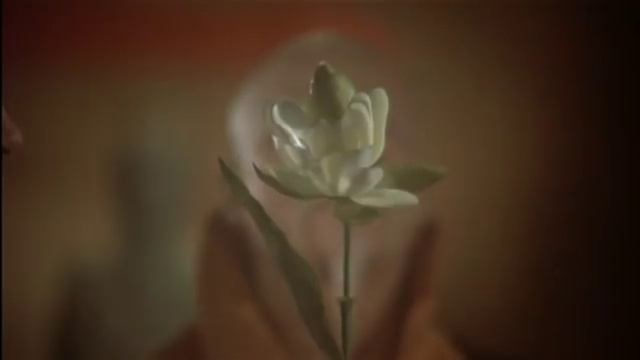 Kung Fu: Lesson From a Lotus Flower смотреть онлайн