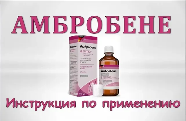Как делать ингаляцию с амбробене и физраствором. Синекод и ингаляции с беродуалом. амбробене для ингаляций. амбробене с малиной. амбробене при сухом кашле.