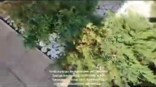 Услуги профессионального ухода за садом. Заказать выезд агрономов в Москве и МО по тел.: 8495669522 смотреть онлайн