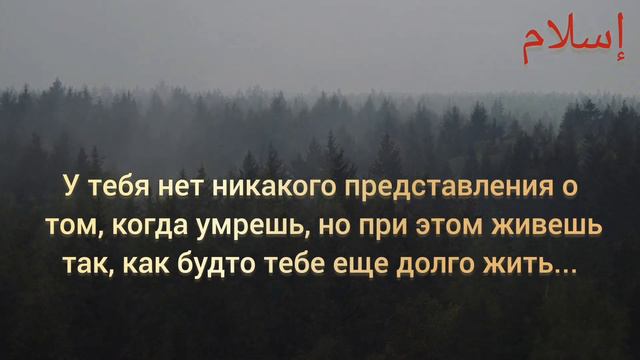 Люди, помните, что смерть приходит внезапно. смотреть онлайн