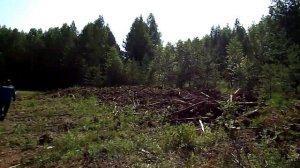 По местам предков.