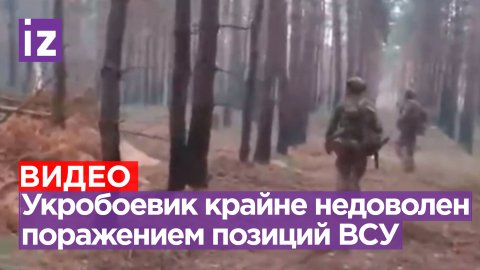 Поток брани и больше ничего: ВСУшник снял последствия обстрела украинских позиций в Кременском лесу