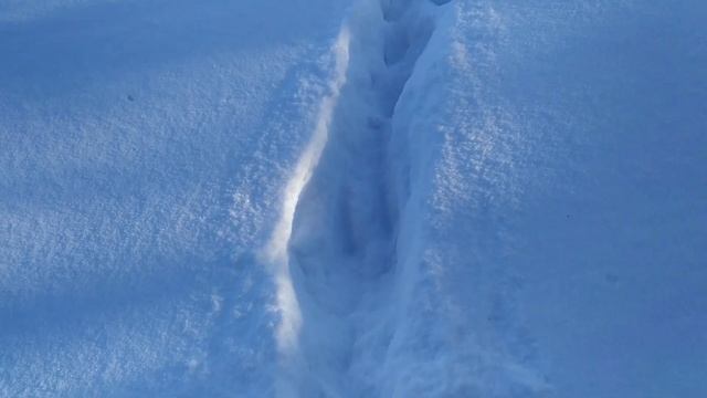 Рыбалка и Охота Вятского края в 2022 году на мотобуксировщике-толкаче Ураган Промысловик смотреть онлайн