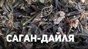 Саган-Дайля (Рододендрон Адамса).  Где растет, как заваривать, свойства