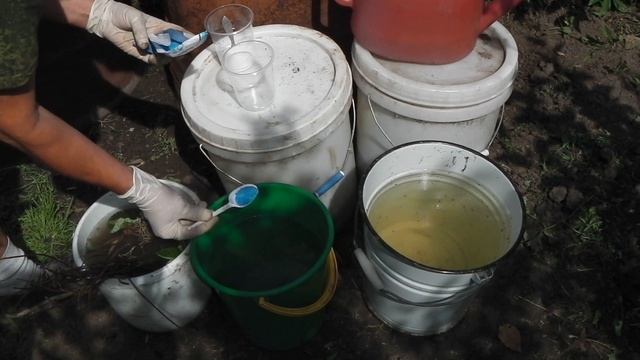 КАК ОБЕЗЗАРАЗИТЬ РАССАДУ КЛУБНИКИ (ЗЕМЛЯНИКИ) ПЕРЕД ПОСАДКОЙ смотреть онлайн