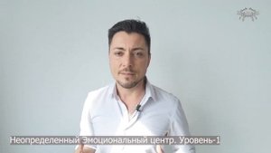 Неопределенный Эмоциональный Центр - Дизайн Человека|Human Design. Владимир Дёмкин