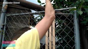 ИДЕЯ для забора сетка рабица. Для Дачи и Дома. DIY.IDEA for fence mesh netting.