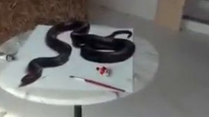 Научись рисовать 3 D рисунки