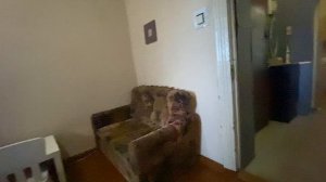 Обзор квартиры