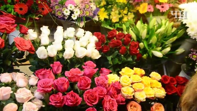 Советы флориста как правильно выбрать букет к 8 Марта смотреть онлайн