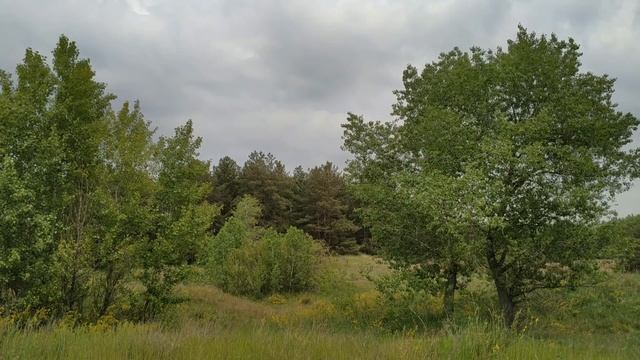 10 июня народный праздник День Святого Никиты. Полудницы. Что нельзя делать. Народные приметы .