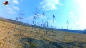 Гнутся сосны, гнутся ели - мы со всей души летели