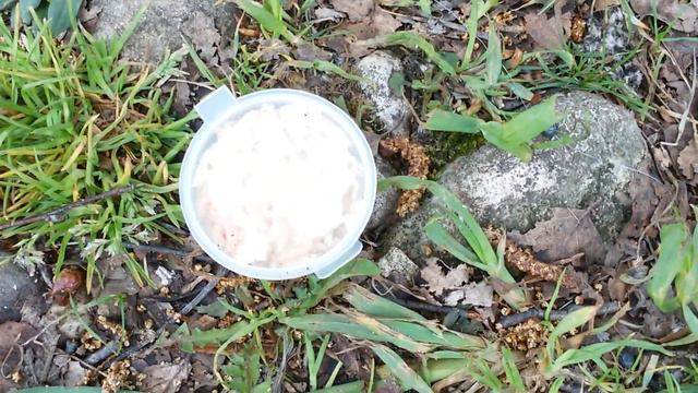 Ловля окуня на на опарыша весной.Опарыш как насаживать на крючок для окуня.Приманка для окуня весно смотреть онлайн