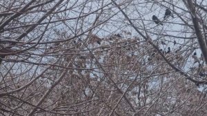 В КАКИЕ ДНИ СТРИЧЬ ВОЛОСЫ ЧТОБЫ ИЗМЕНИТЬ СВОЮ ЖИЗНЬ К ЛУЧШЕМУ ... народные приметы и поверья