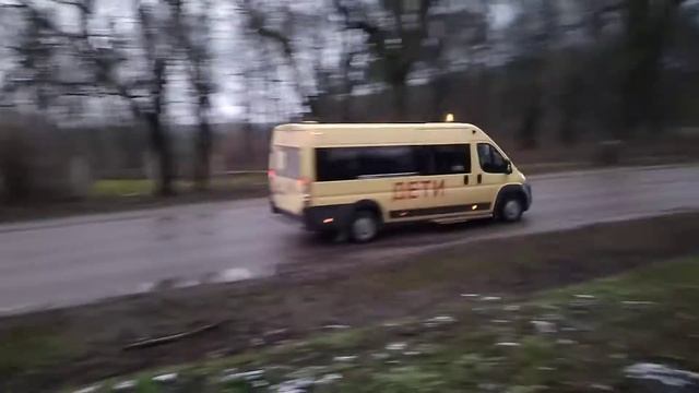 Peugeot Boxer Школьный автобус