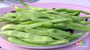 Стручковая фасоль. Жить здорово! Фрагмент выпуска от 21.06.2019